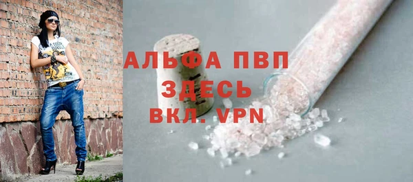 твердый Новодвинск