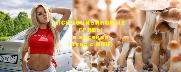 ПСИЛОЦИБИНОВЫЕ ГРИБЫ Новокубанск
