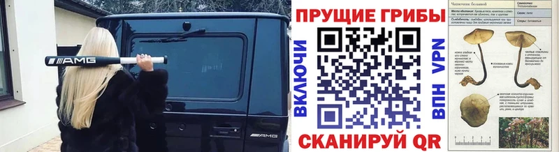 где можно купить наркотик  Сарапул  MEGA ССЫЛКА  Галлюциногенные грибы мухоморы 